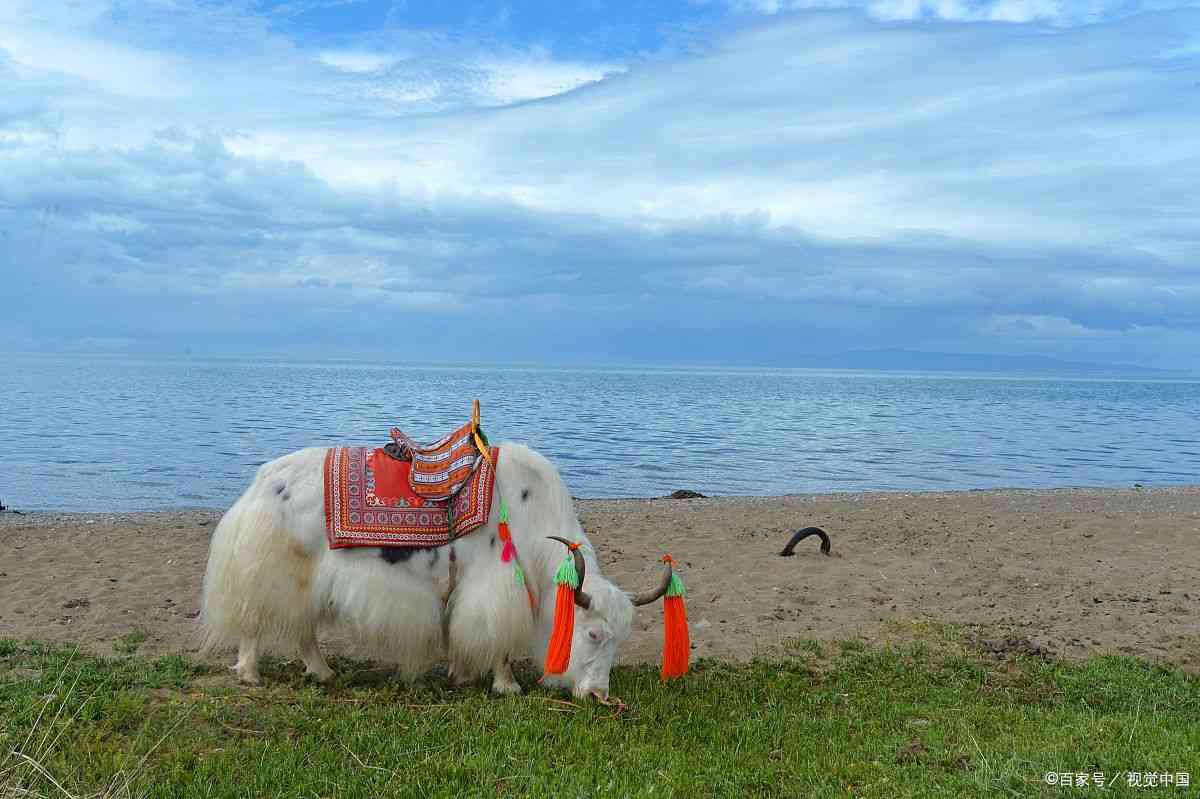 青海格尔木旅游攻略路线